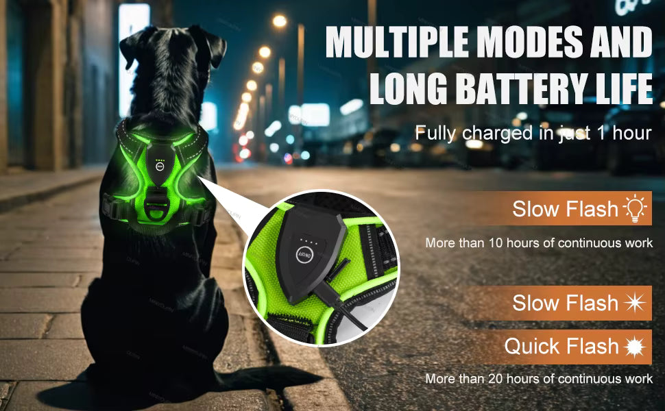 LED Light-Up Dog Harness