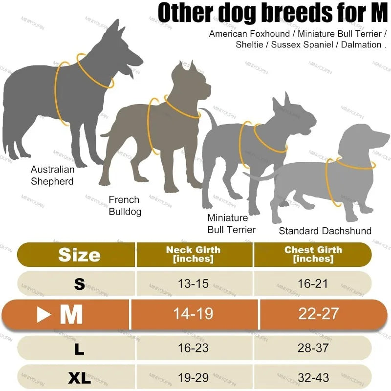 LED Light-Up Dog Harness