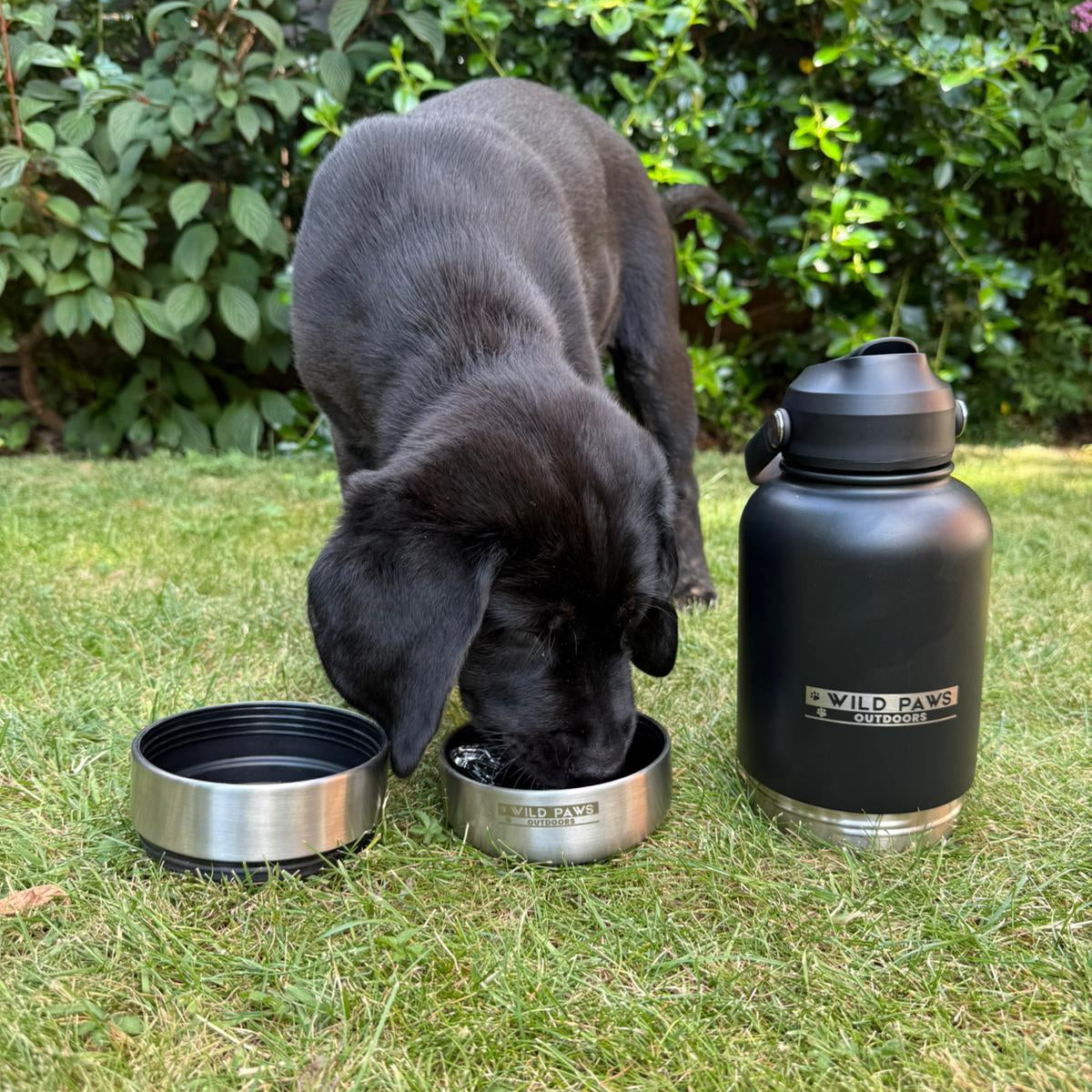 3 in 1 Dog Water Bottle