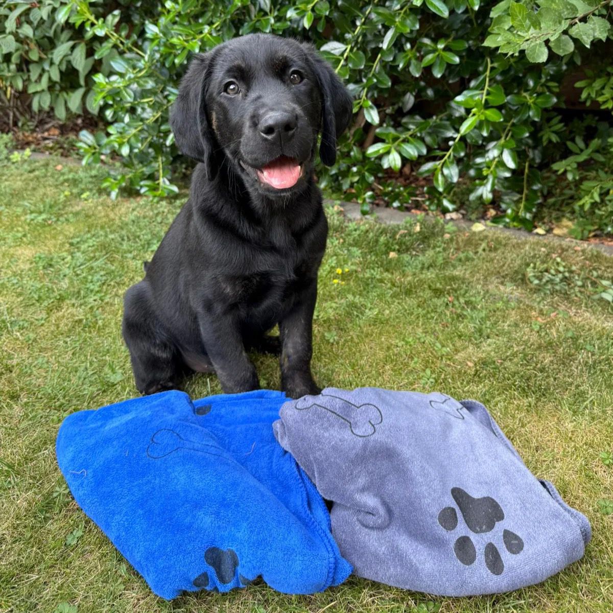 Microfibre Quick-drying Dog Towel