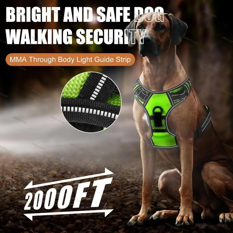 LED Light-Up Dog Harness