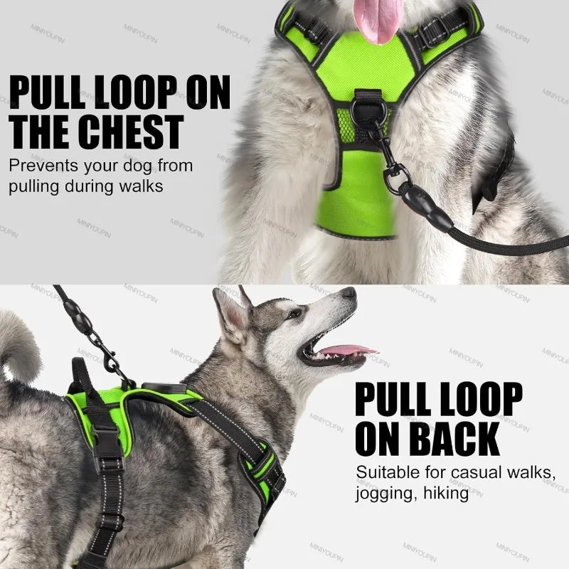 LED Light-Up Dog Harness