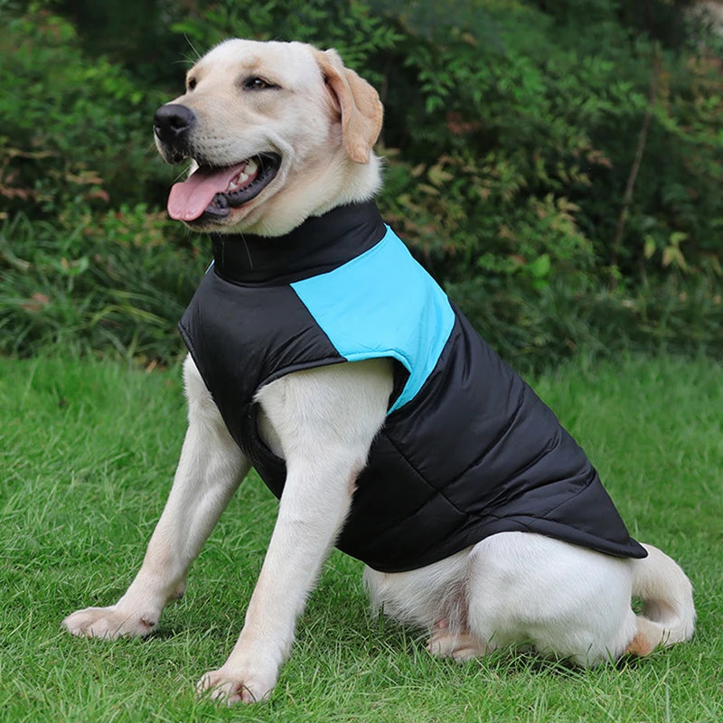 Waterproof Dog Coat