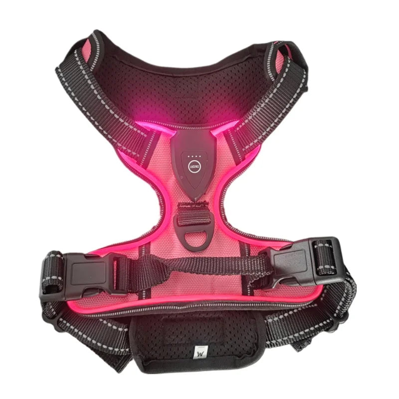 LED Light-Up Dog Harness