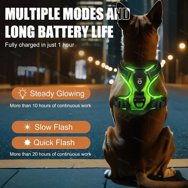 LED Light-Up Dog Harness