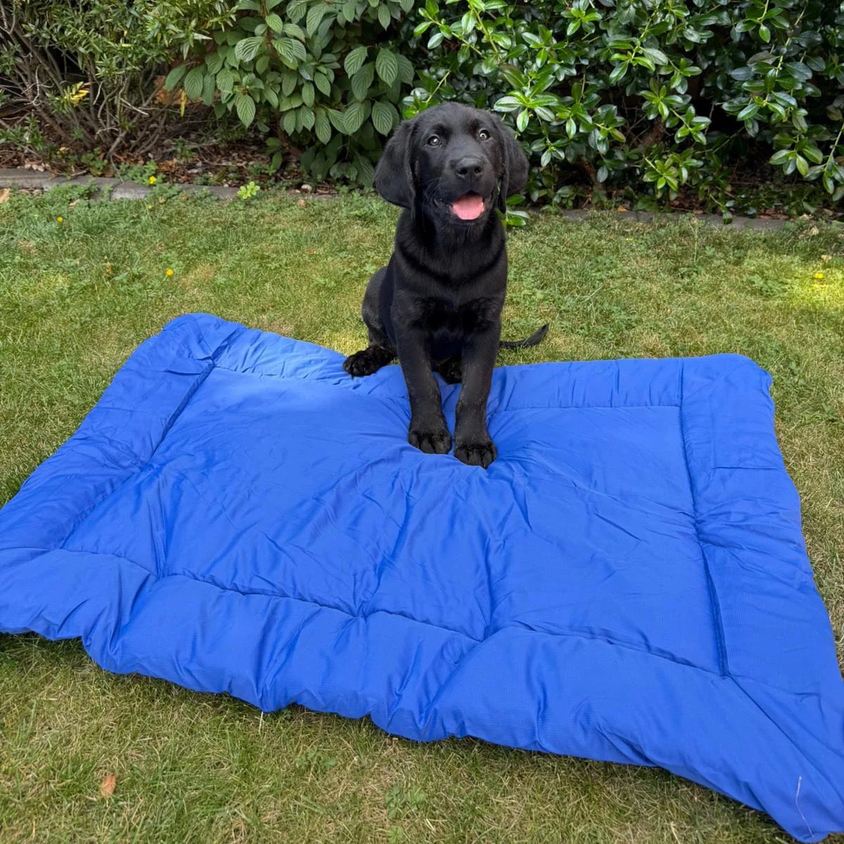 Waterproof Outdoor Pet Bed