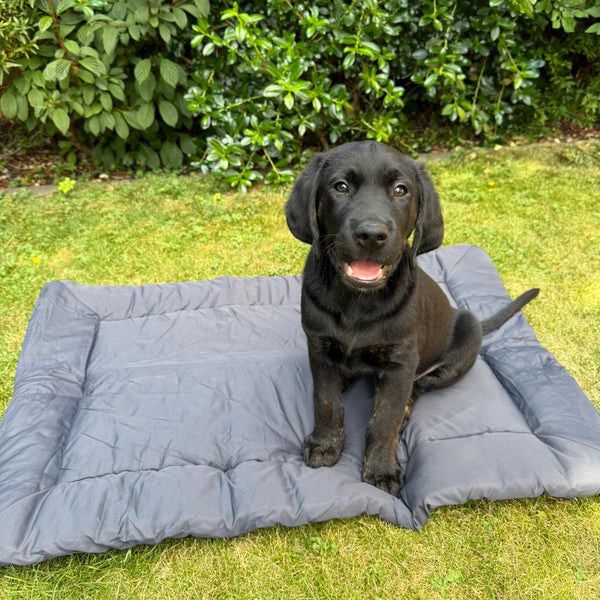 Waterproof Outdoor Pet Bed