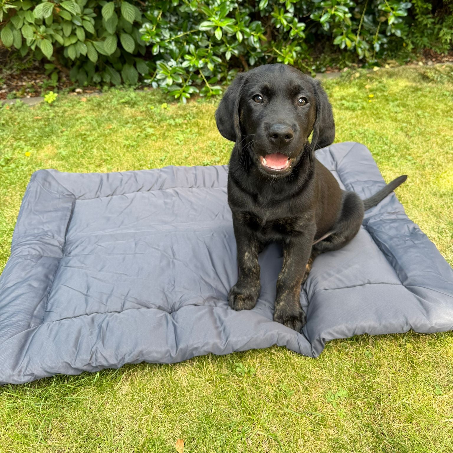 Waterproof Outdoor Pet Bed